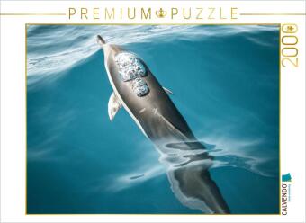 CALVENDO Puzzle Madeiras freundliche Meeresbewohner | 2000 Teile Lege-Größe 90x67cm Foto-Puzzle für glückliche Stunden