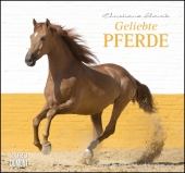 Geliebte Pferde 2023 - DUMONT-Wandkalender - Pferdefotografie von Christiane Slawik Format - 38,0 x 35,5 cm