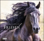 Friesen 2023 - Edle Pferde - Fotografiert von Christiane Slawik - DUMONT-Wandkalender - Format 38,0 x 35,5 cm