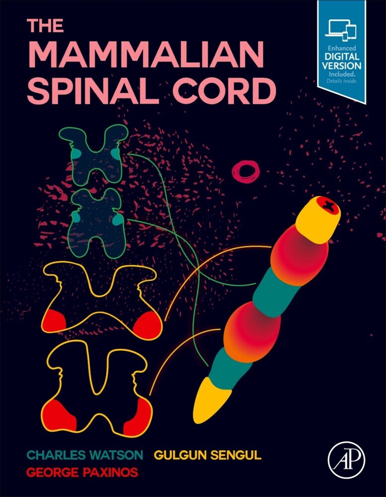 The Mammalian Spinal Cord main product photo