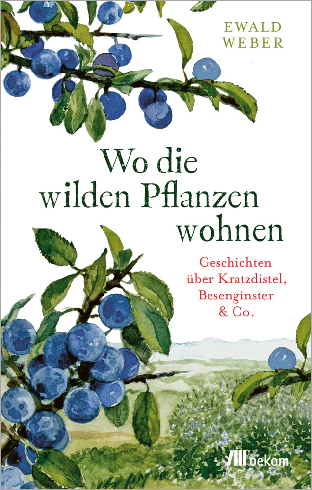 Wo die wilden Pflanzen wohnen main product photo
