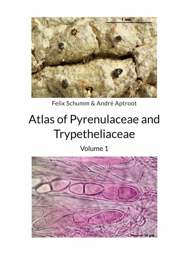 Atlas of Pyrenulaceae and Trypetheliaceae - Volume 1 main product photo