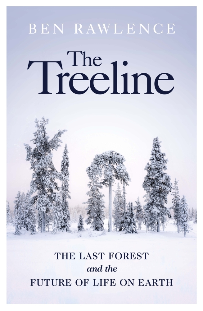The Treeline main product photo