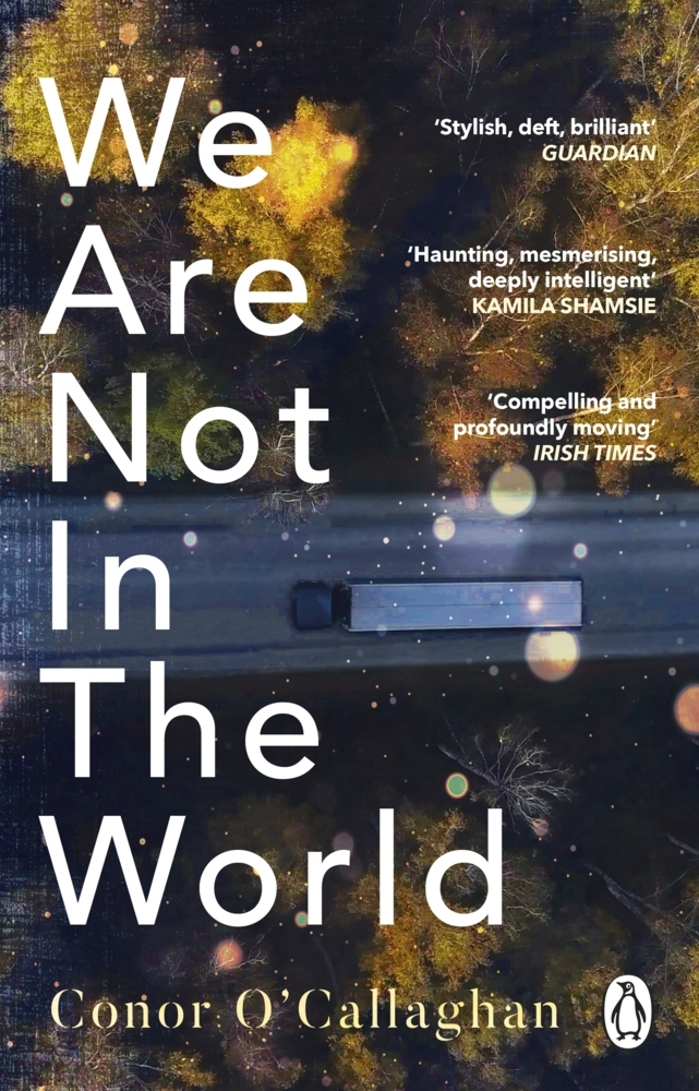 We Are Not in the World main product photo