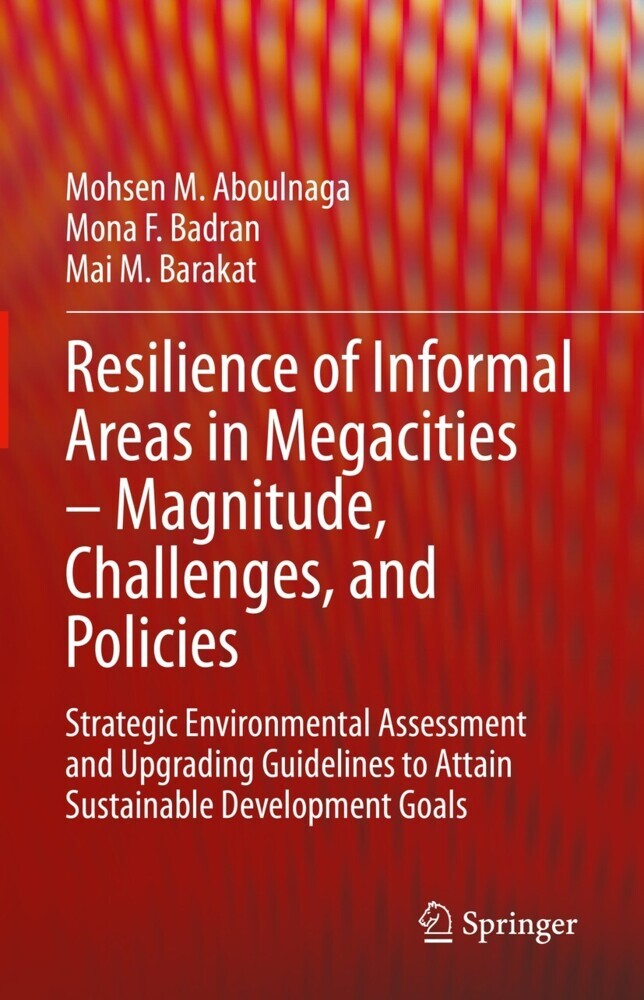 Resilience of Informal Areas in Megacities - Magnitude, Challenges, and Policies main product photo