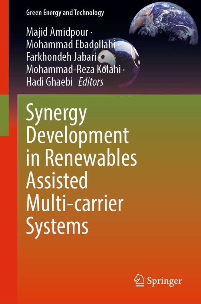 Synergy Development in Renewables Assisted Multi-carrier Systems main product photo