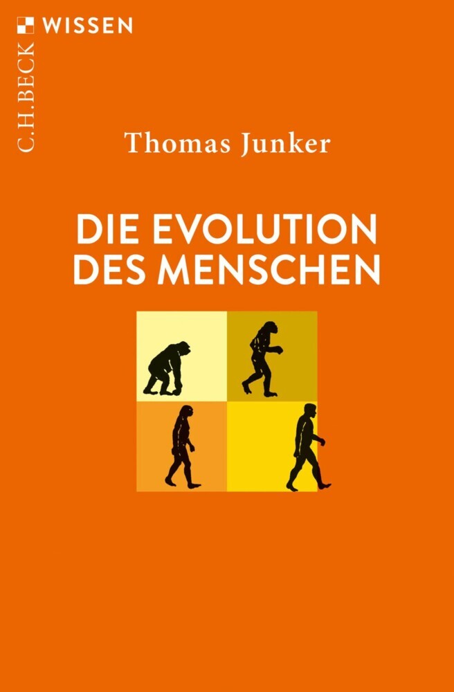 Die Evolution des Menschen main product photo