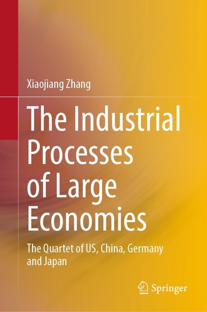 The Industrial Processes of Large Economies main product photo
