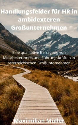 Handlungsfelder für HR in ambidexteren Großunternehmen