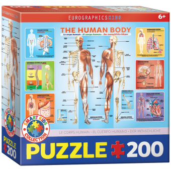 Der menschliche Körper (Puzzle)