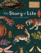 The Story of Life - Evolution