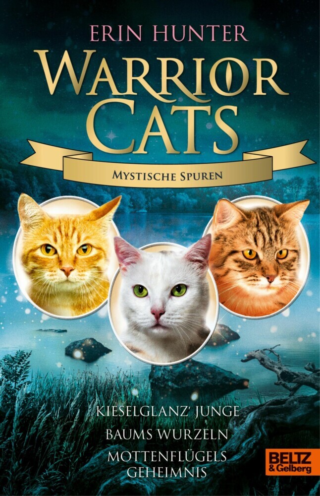 Warrior Cats - Mystische Spuren main product photo