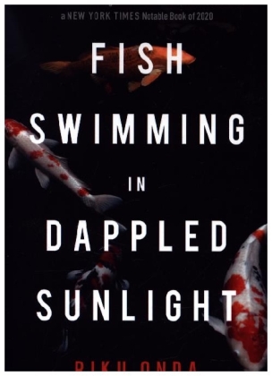 Fish Swimming in Dappled Sunlight