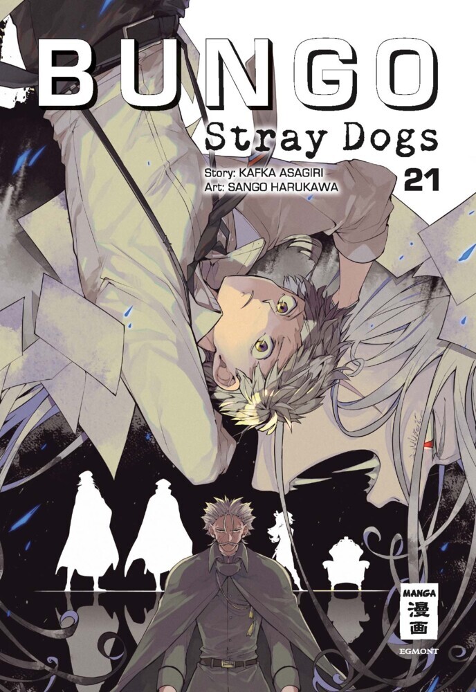 Bungo Stray Dogs 21 main product photo