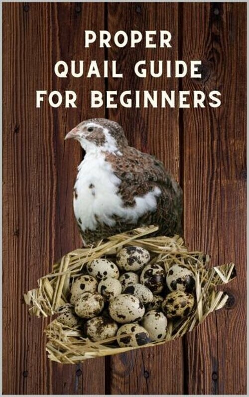 Proper Quail Guide for Beginners main product photo