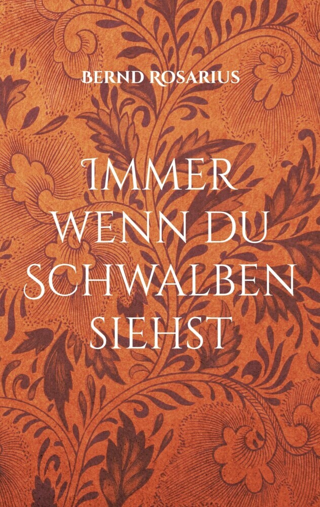 Immer wenn du Schwalben siehst main product photo