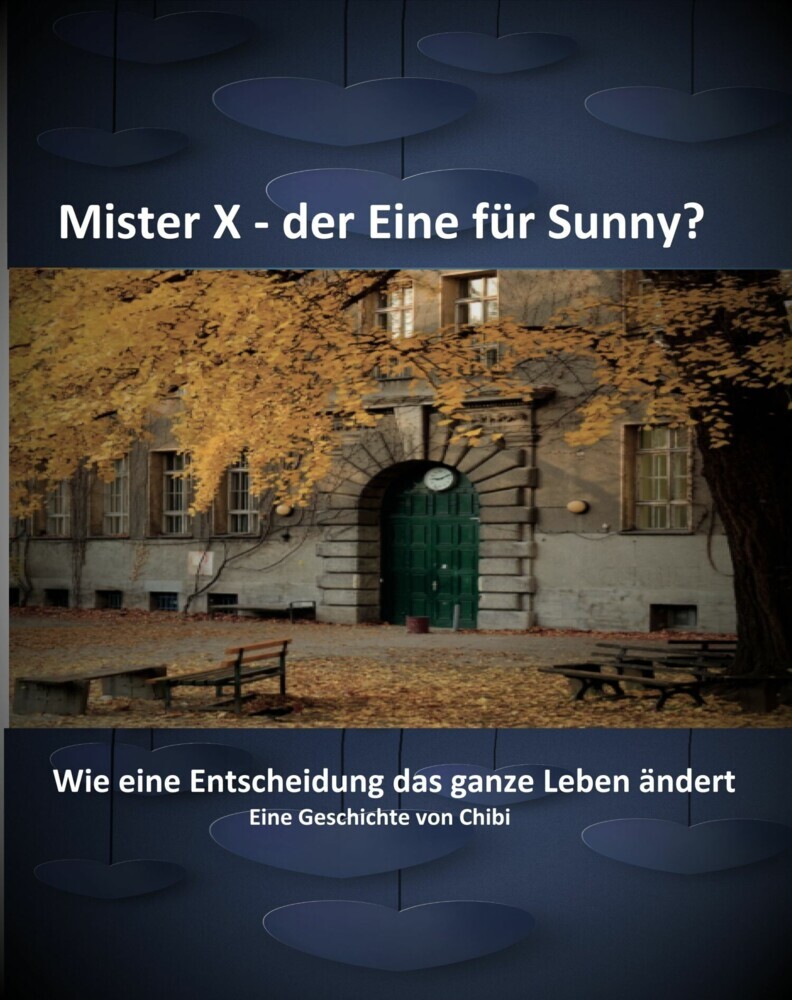 Mister X - der Eine für Sunny? main product photo