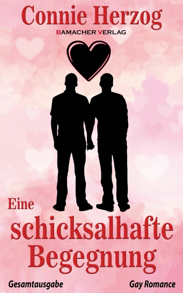 Eine schicksalhafte Begegnung main product photo