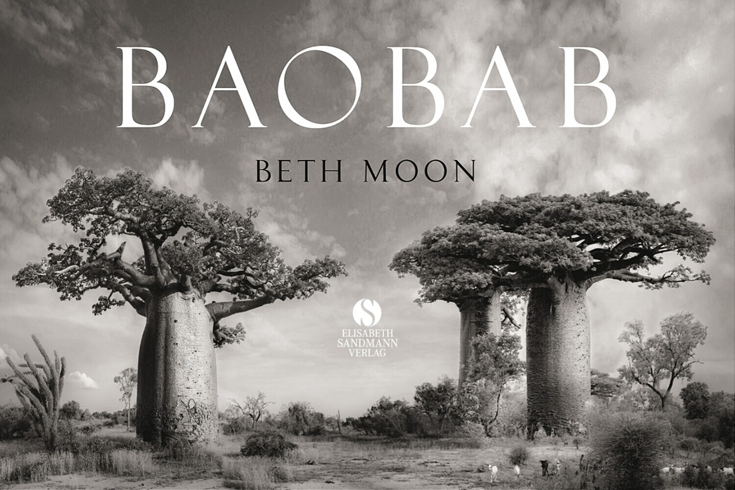 BAOBAB: Meine Reise zu den ältesten Lebewesen und Waldwächtern main product photo