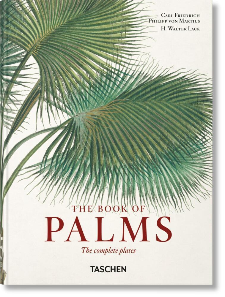 Martius. The Book of Palms. 45th Ed. main product photo