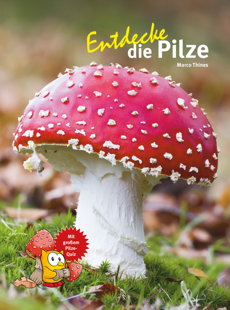 Entdecke die Pilze main product photo