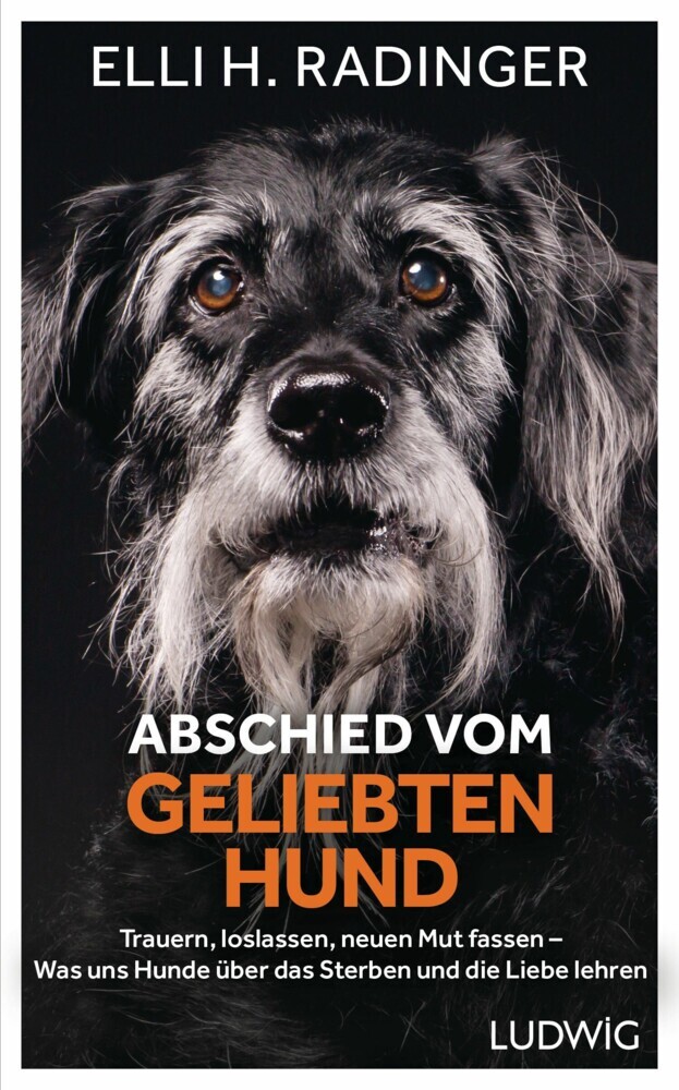 Abschied vom geliebten Hund main product photo