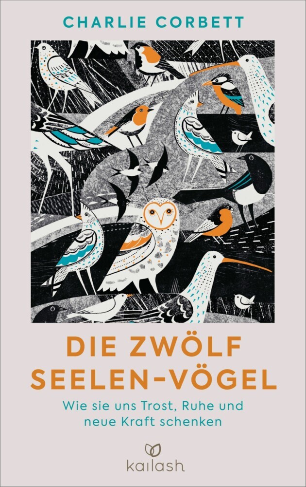 Die zwölf Seelen-Vögel main product photo