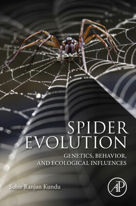 Spider Evolution
