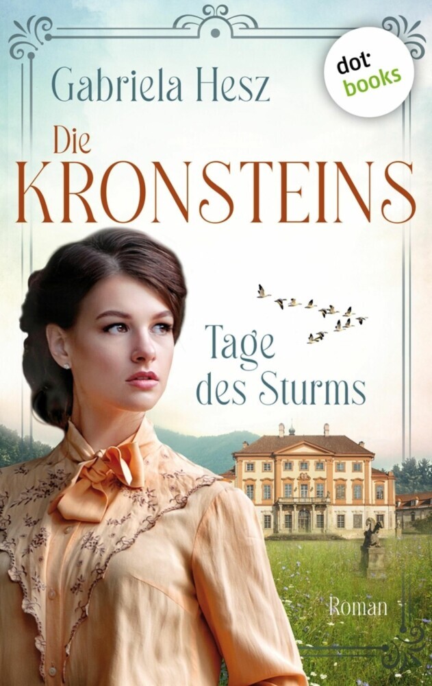 DIE KRONSTEINS - Tage des Sturms main product photo