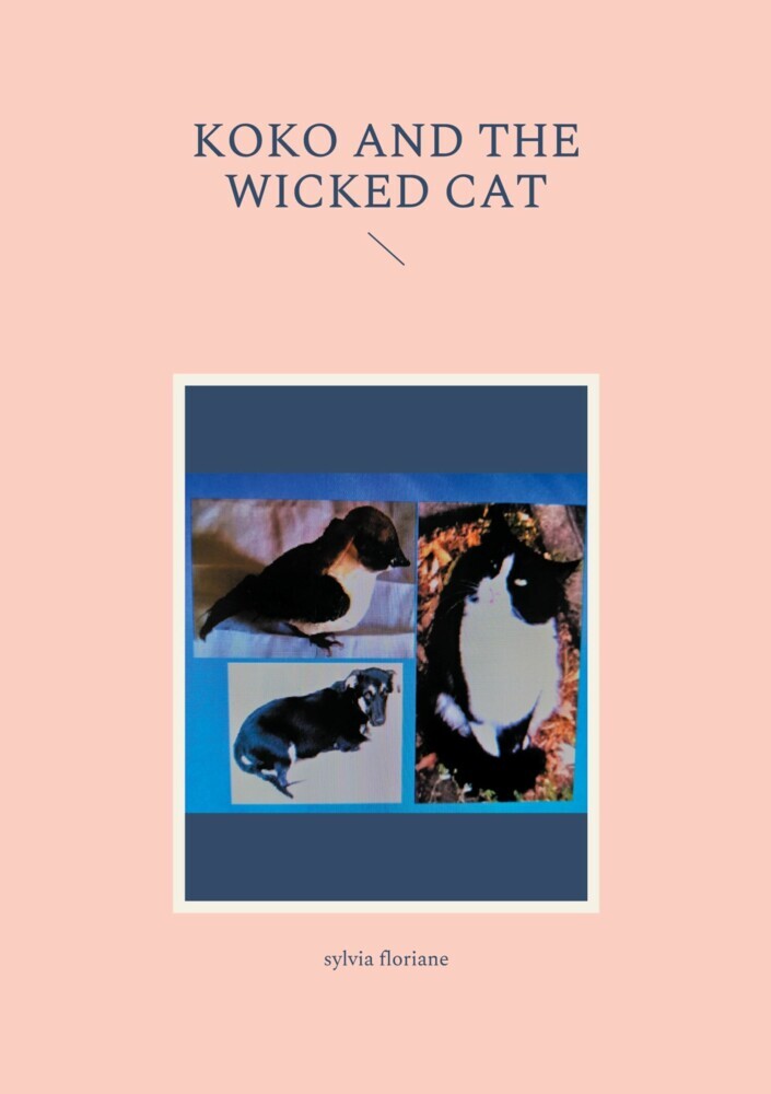 Koko and the wicked cat main product photo
