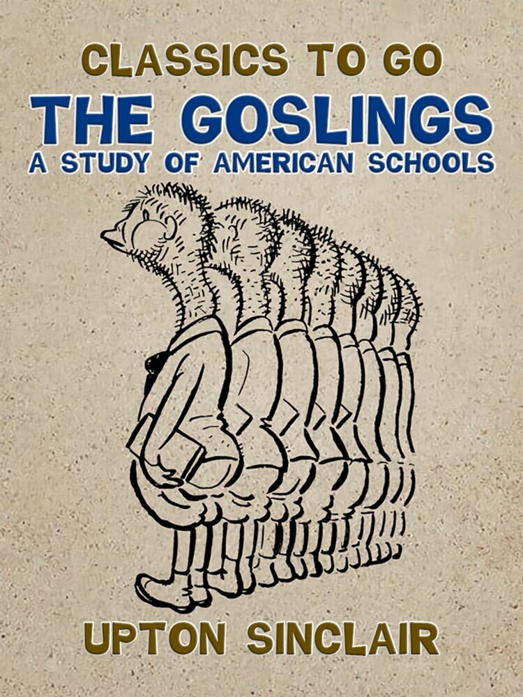 The Goslings A Study of American Schools main product photo