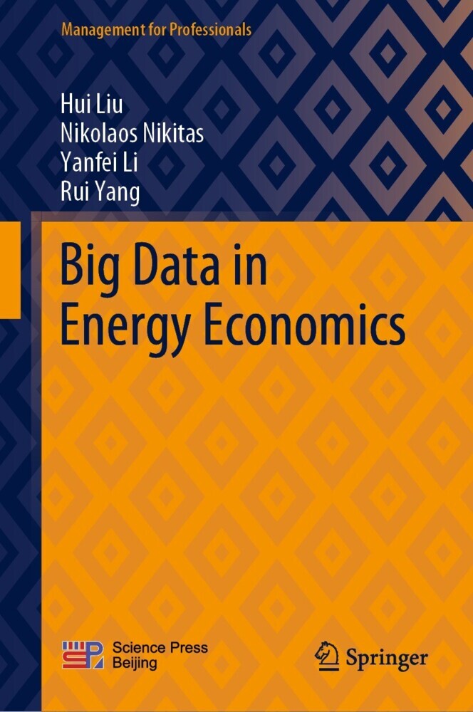 Big Data in Energy Economics main product photo
