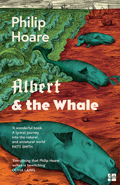 Albert & the Whale main product photo