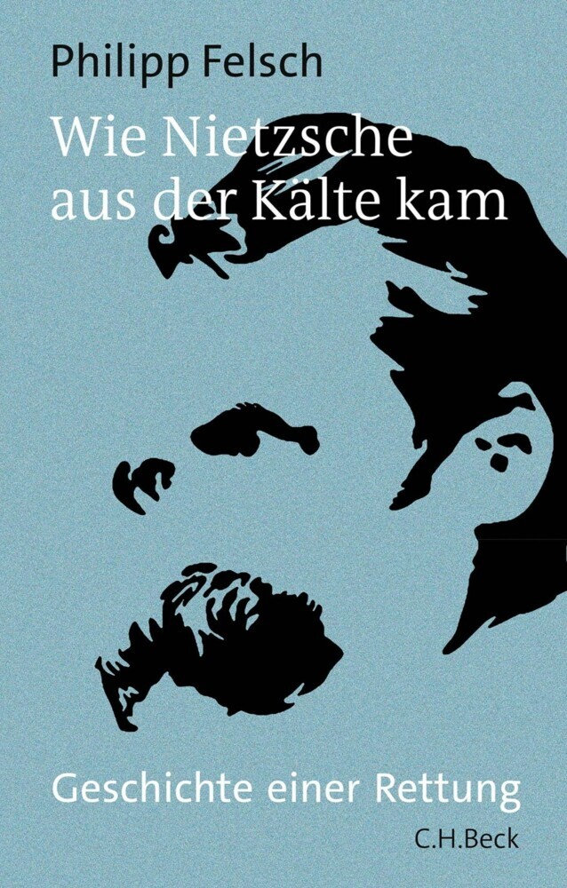 Wie Nietzsche aus der Kälte kam main product photo