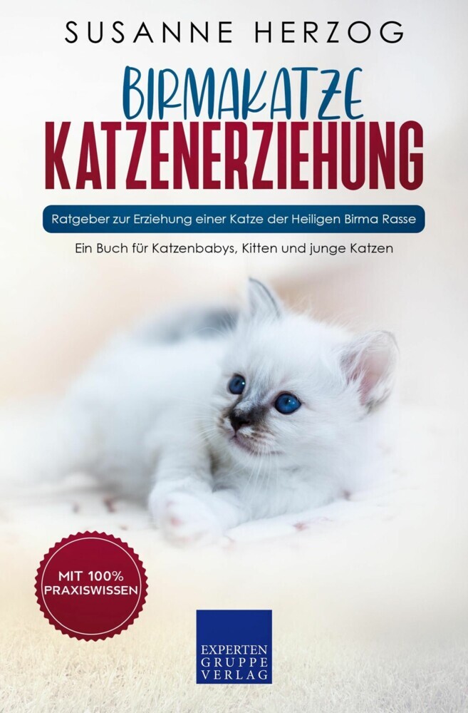 Birma Katzenerziehung - Ratgeber zur Erziehung einer Katze der Birma Rasse main product photo
