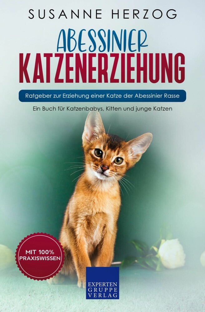 Abessinier Katzenerziehung - Ratgeber zur Erziehung einer Katze der Abessinier Rasse main product photo