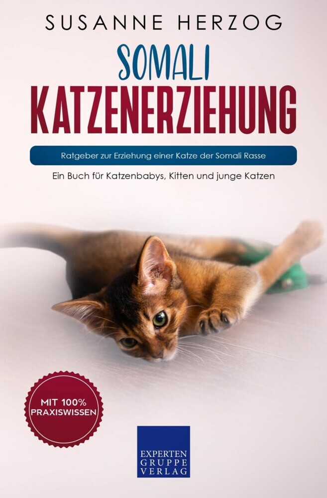 Somali Katzenerziehung - Ratgeber zur Erziehung einer Katze der Somali Rasse main product photo