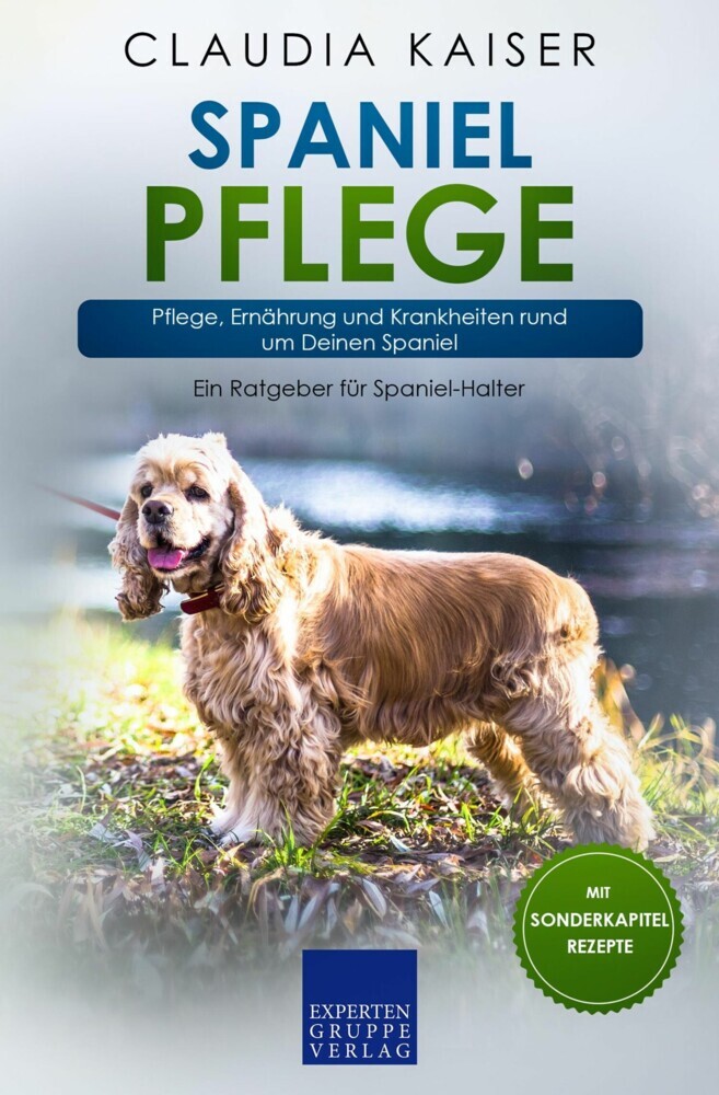 Spaniel Pflege main product photo