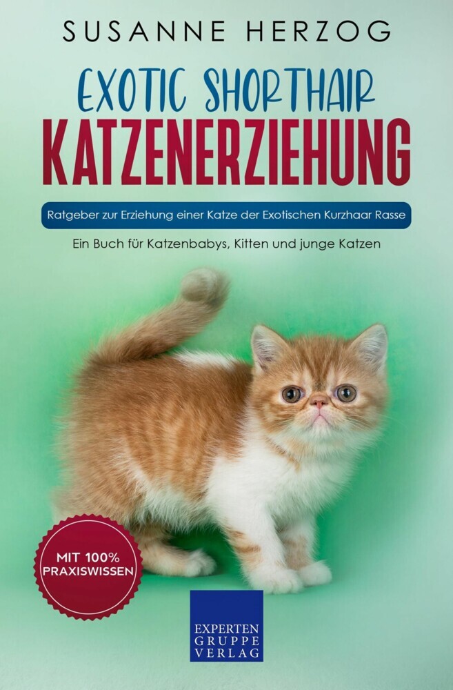 Exotic Shorthair Katzenerziehung - Ratgeber zur Erziehung einer Katze der Exotischen Kurzhaar Rasse main product photo