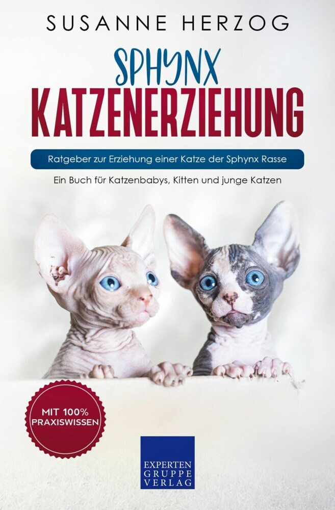 Sphynx Katzenerziehung - Ratgeber zur Erziehung einer Katze der Sphynx Rasse main product photo