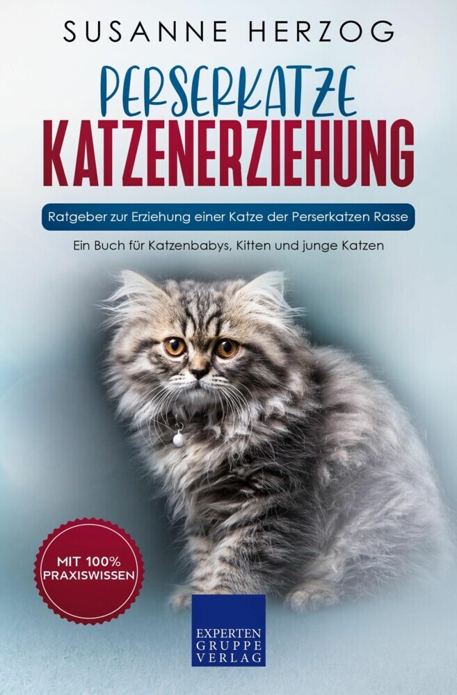 Perserkatze Katzenerziehung - Ratgeber zur Erziehung einer Katze der Perserkatzen Rasse main product photo