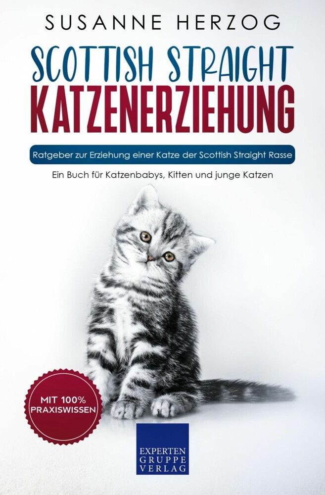 Scottish Straight Katzenerziehung - Ratgeber zur Erziehung einer Katze der Scottish Straight Rasse main product photo