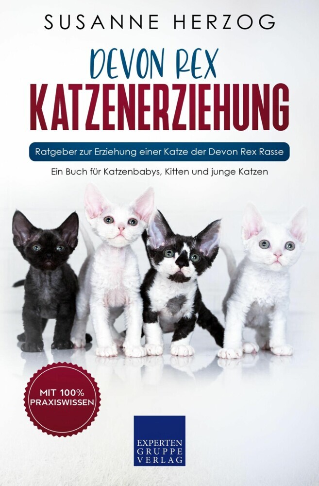 Devon Rex Katzenerziehung - Ratgeber zur Erziehung einer Katze der Devon Rex Rasse main product photo