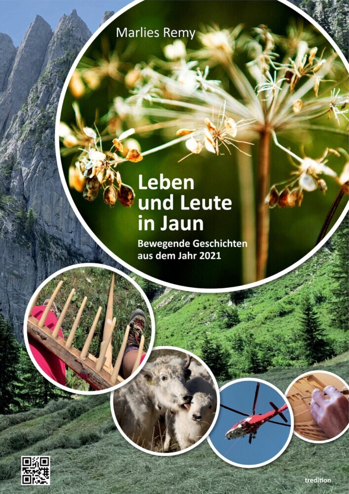 Leben und Leute in Jaun main product photo