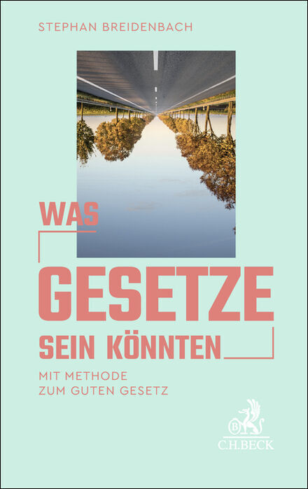 Was Gesetze sein könnten main product photo