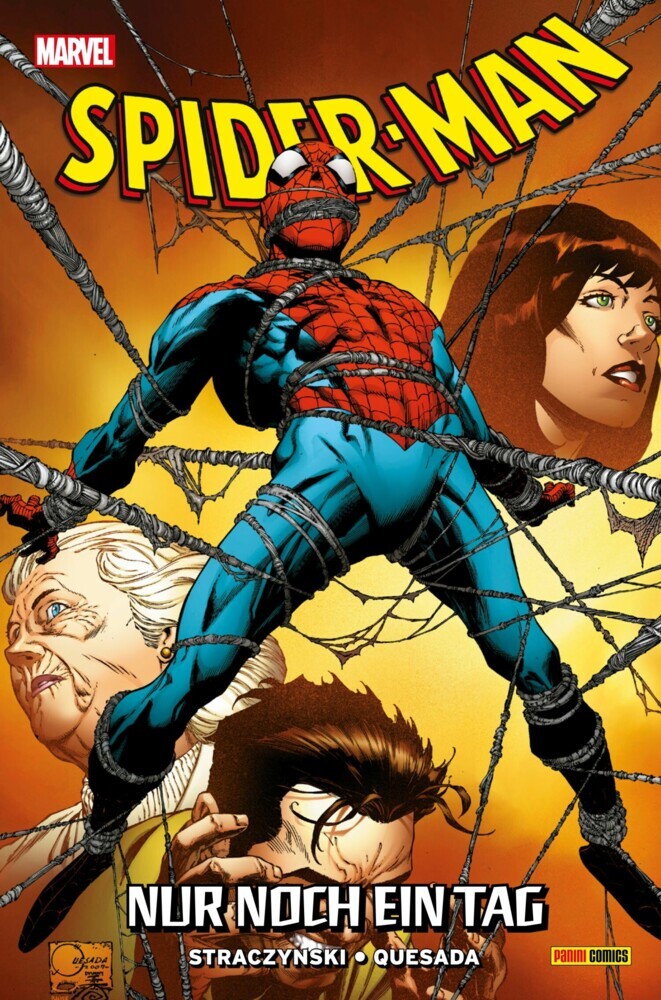 SPIDER-MAN - Nur Noch Ein Tag main product photo