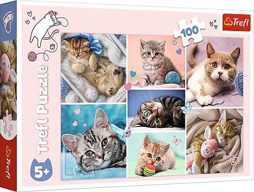 Katzenwelt (Kinderpuzzle) main product photo