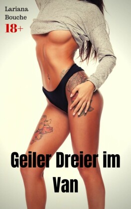Geiler Dreier im Van