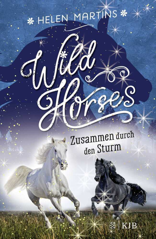 Wild Horses - Zusammen durch den Sturm main product photo
