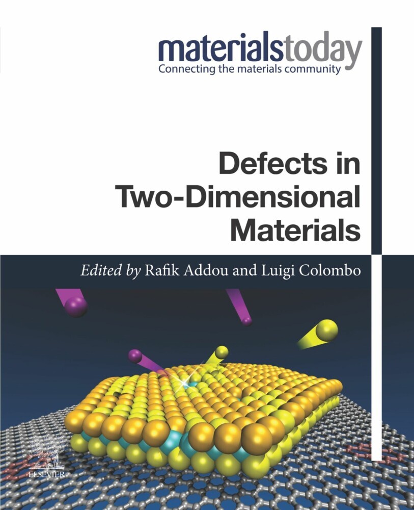 Defects in Two-Dimensional Materials main product photo